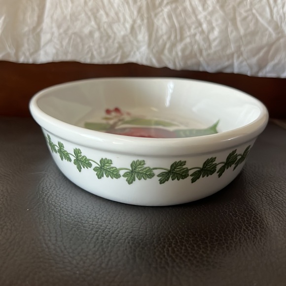 Pomona Portmeirion Oval Dish Designed by Susan Williams “Hoary Morning Apple” - Picture 2 of 7